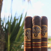 Oliva Serie V Melanio Gran Reserva Robusto Cigar - 1 Single